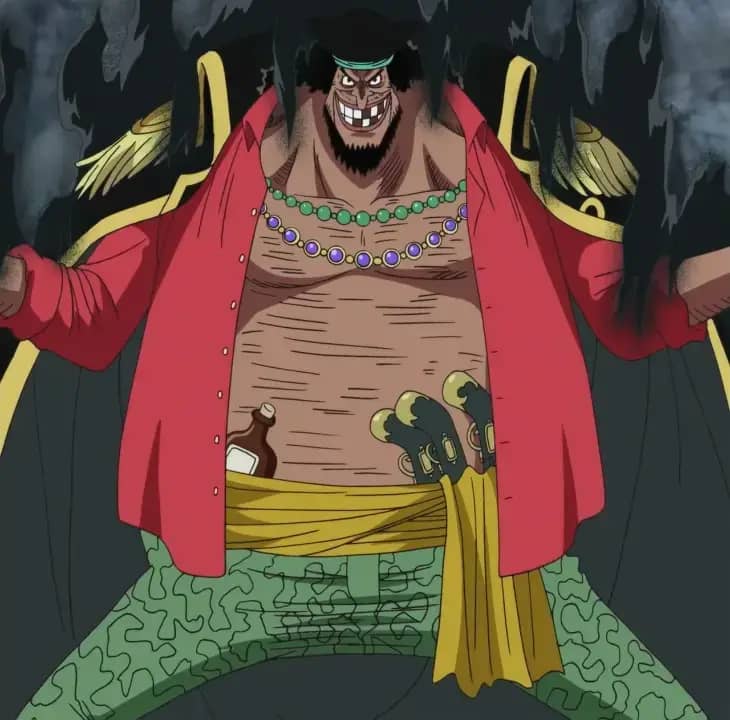 12 Penyandang Nama D di One Piece yang Telah Muncul, Siapa Saja Kah?